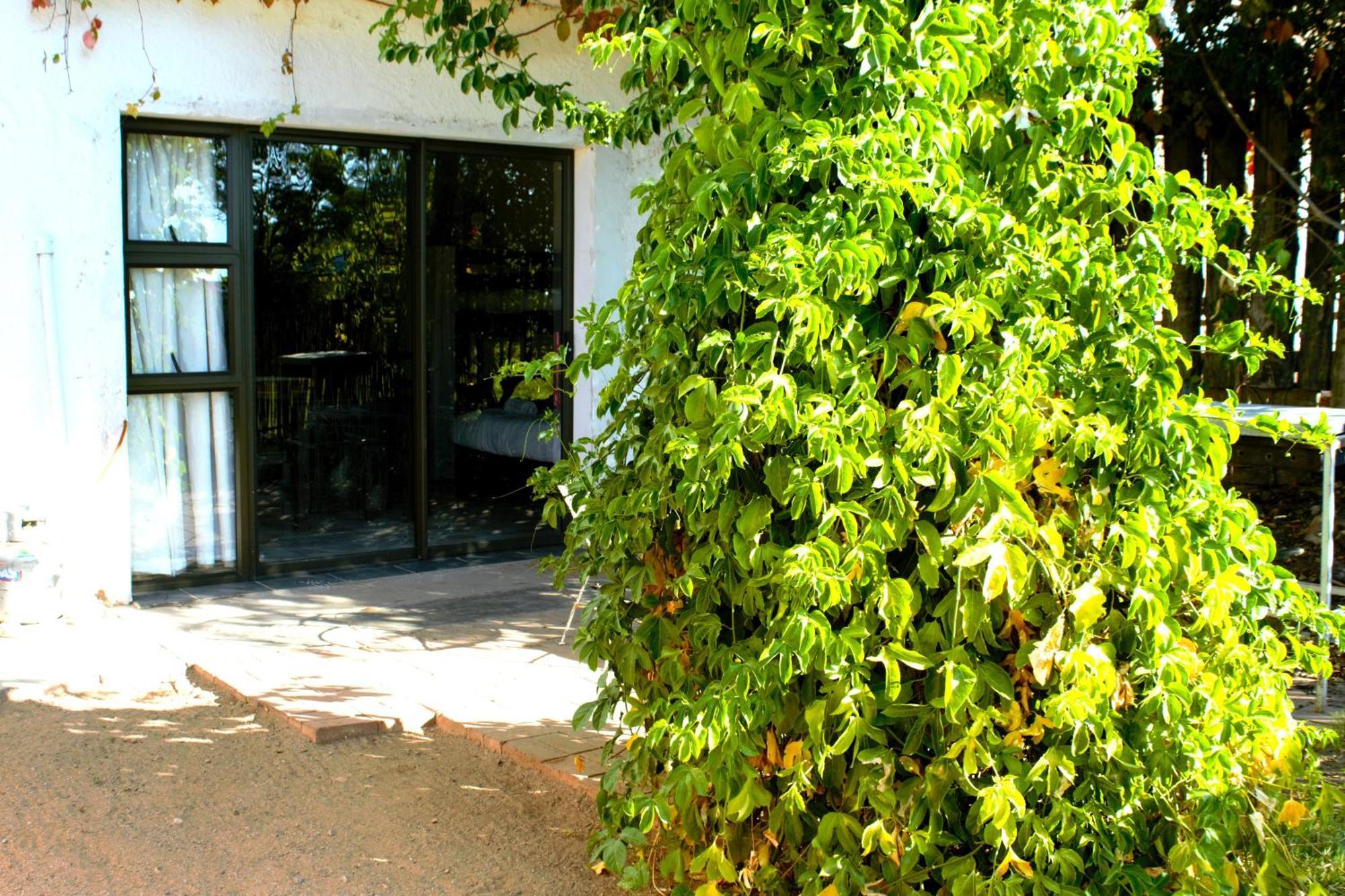Ditsem Guest Farm Upington Esterno foto