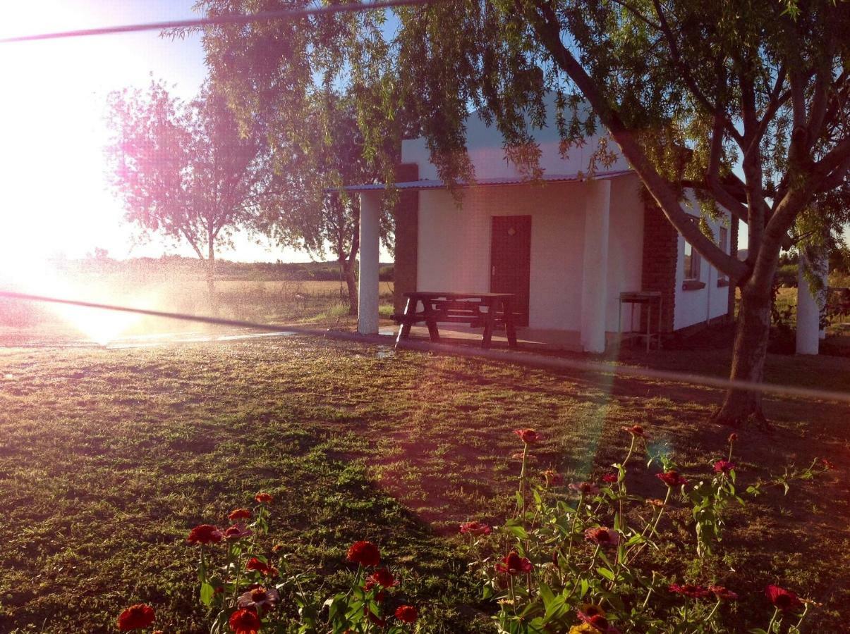 Ditsem Guest Farm Upington Esterno foto